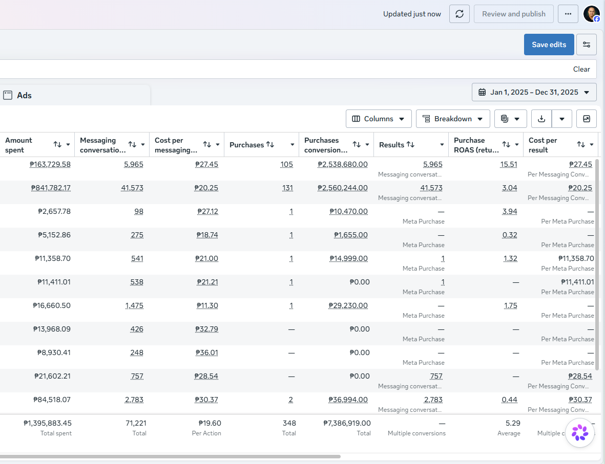 Meta Ads Manager report, full year 2025