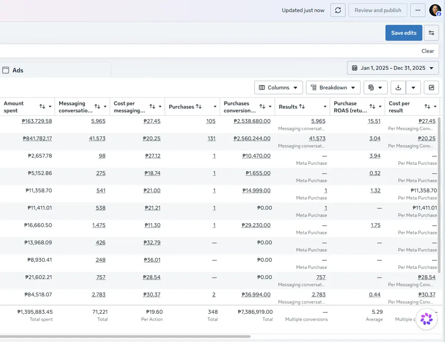 Meta Ads Manager report, full year 2025